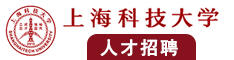 鸡鸡日嫂逼