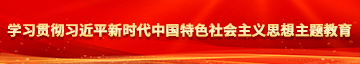 我想看操逼的学习贯彻习近平新时代中国特色社会主义思想主题教育